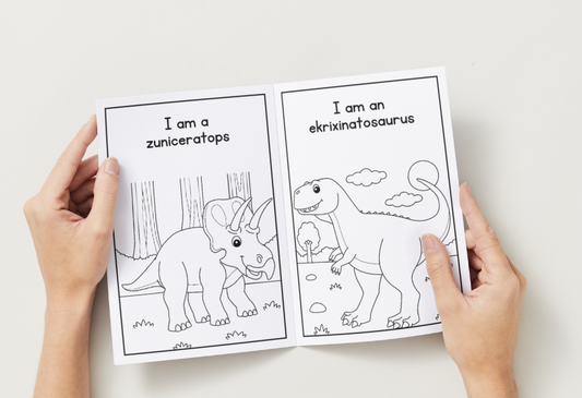 Dinosaurs – Printable Colouring Book (PDF Download)