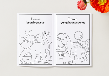 Dinosaurs – Printable Colouring Book (PDF Download)