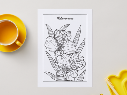 Flowers – Printable Colouring Book (PDF Download)
