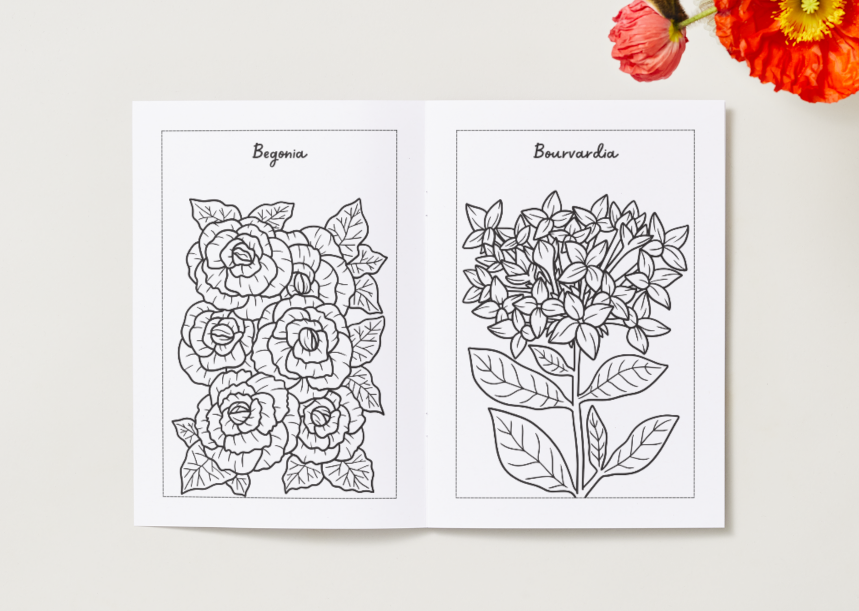 Flowers – Printable Colouring Book (PDF Download)